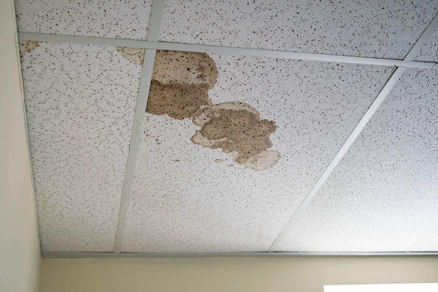 How to Fix Brown Spots on Ceiling with No Leak