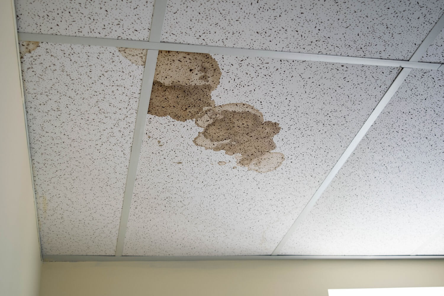 How To Fix Brown Spots On Ceiling With No Leak Decor Pursuits