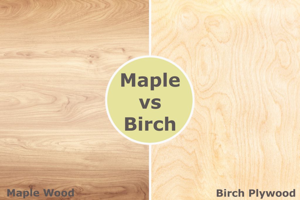Maple vs Birch Plywood - Which is Superior