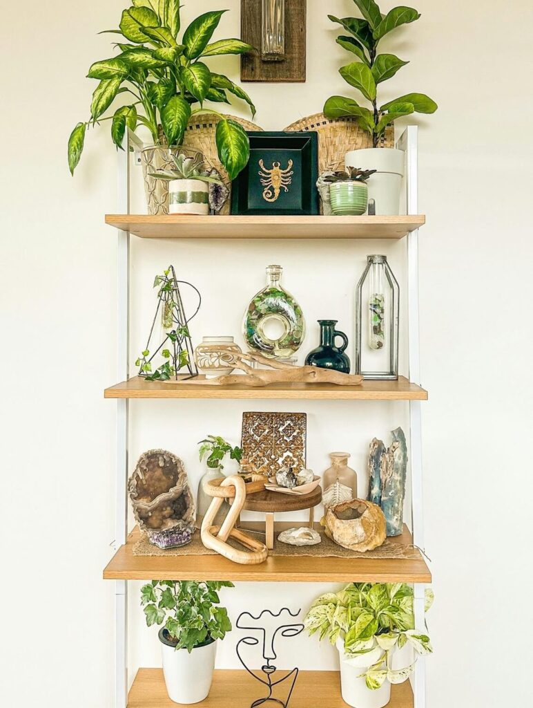 Build Floating Shelves with Plants and Accessories