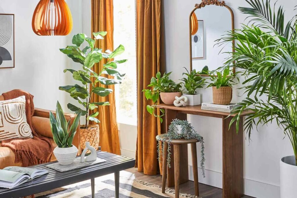15 Indoor Plant Styling Ideas That Don’t Feel Overdone - Decor Pursuits